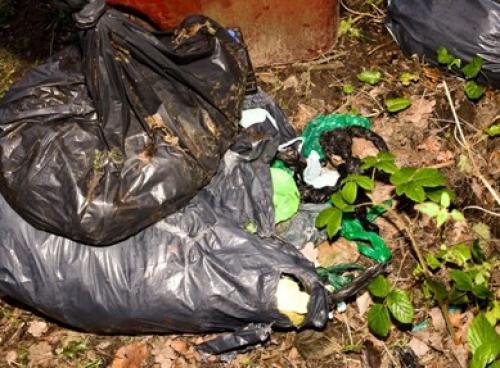 Fly Tipping