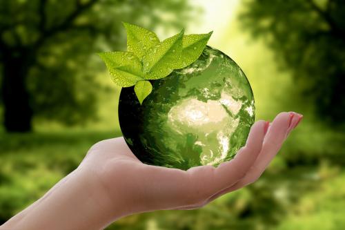Tree Planting Project